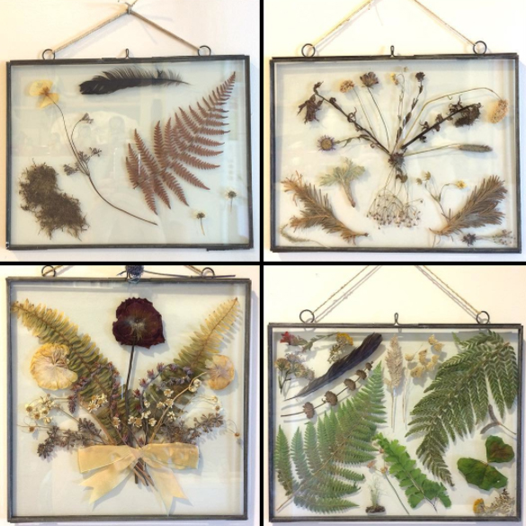 NSA frames